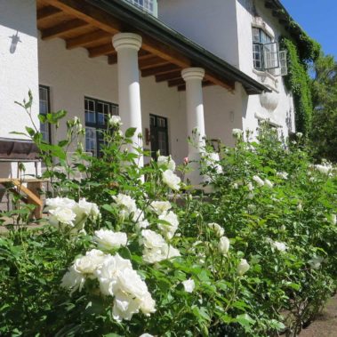 Dwarsvlei-Guest-House-Karoo-Middelburg-Accommodation-Garden-Iceberg-Roses