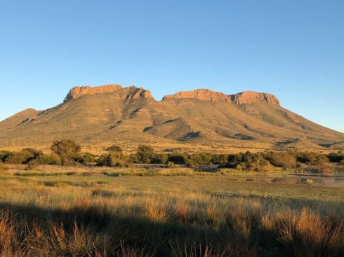 Rustic-Karoo-Accommodation-at-Dwarsvlei-Farm-Gallery-View-of-Renosterberg-