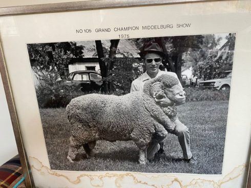 The History Of Dwarsvlei Farm - An Enchanting Past of Karoo Farm Living - Poster - Ram