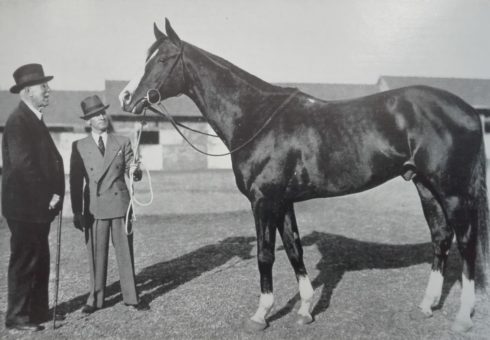 The History Of Dwarsvlei Farm - An Enchanting Past of Karoo Farm Living - Poster Tenon