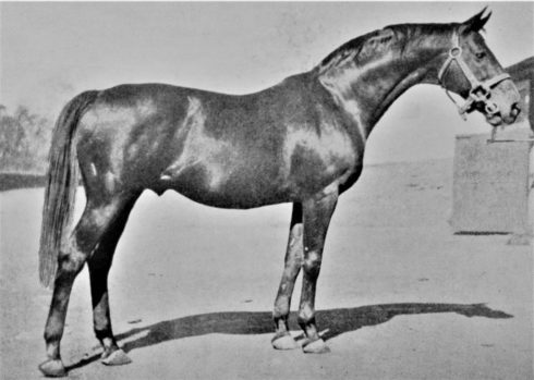 The History Of Dwarsvlei Farm - An Enchanting Past of Karoo Farm Living - Poster - greatorex